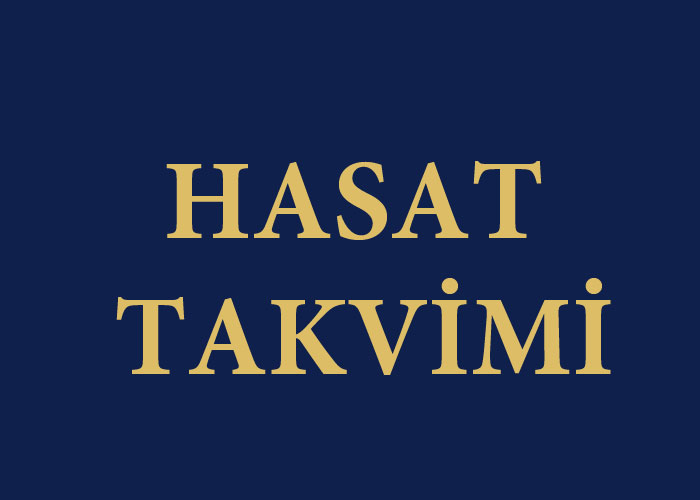 Hasat Resim (alt)1